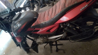 Black & Wine Bajaj Pulsar 150 DTSi