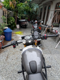 Triumph Speed 400 2025