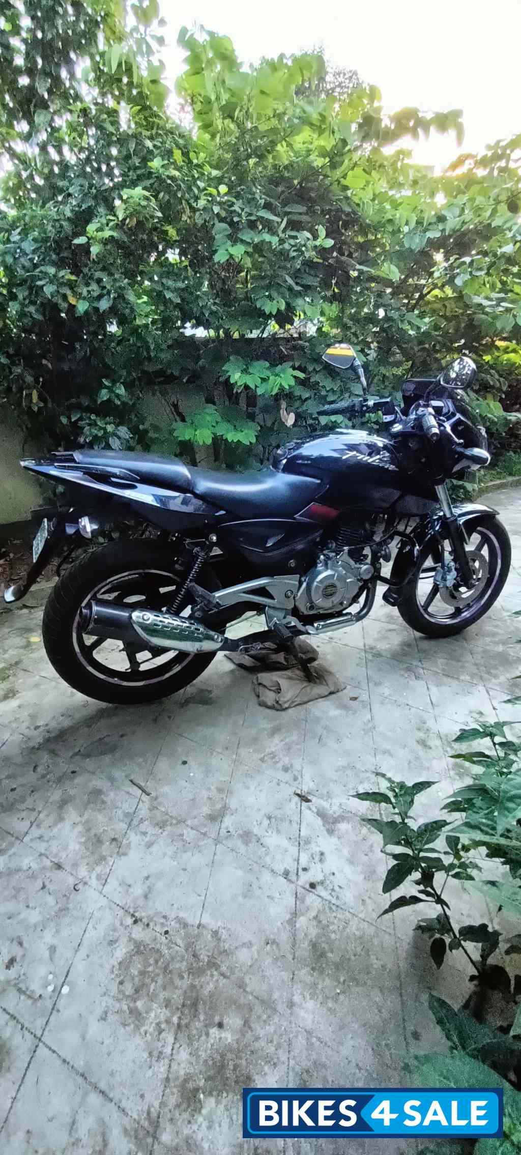 Black Bajaj Pulsar 180 DTSi