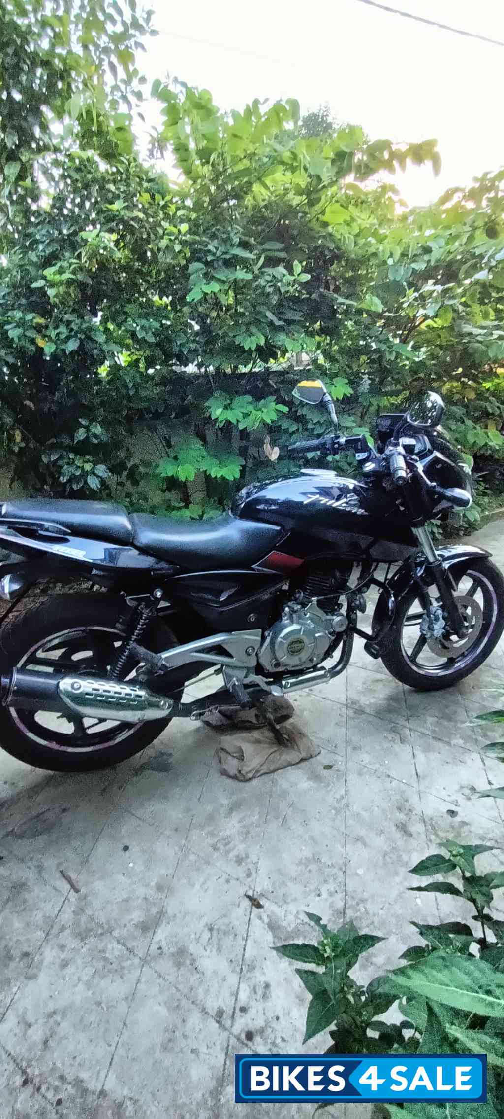 Black Bajaj Pulsar 180 DTSi
