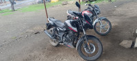 Ebony Black Solar Re Bajaj Pulsar 125