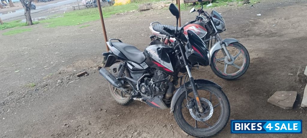 Ebony Black Solar Re Bajaj Pulsar 125