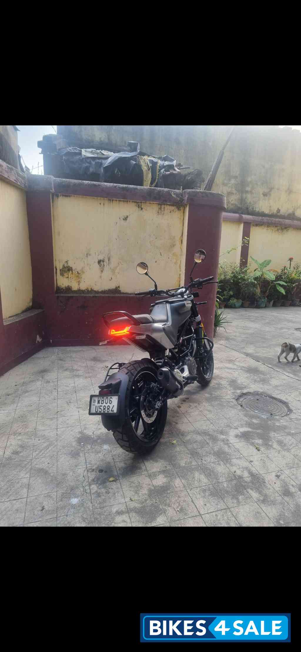 Matt Black Husqvarna Svartpilen 250