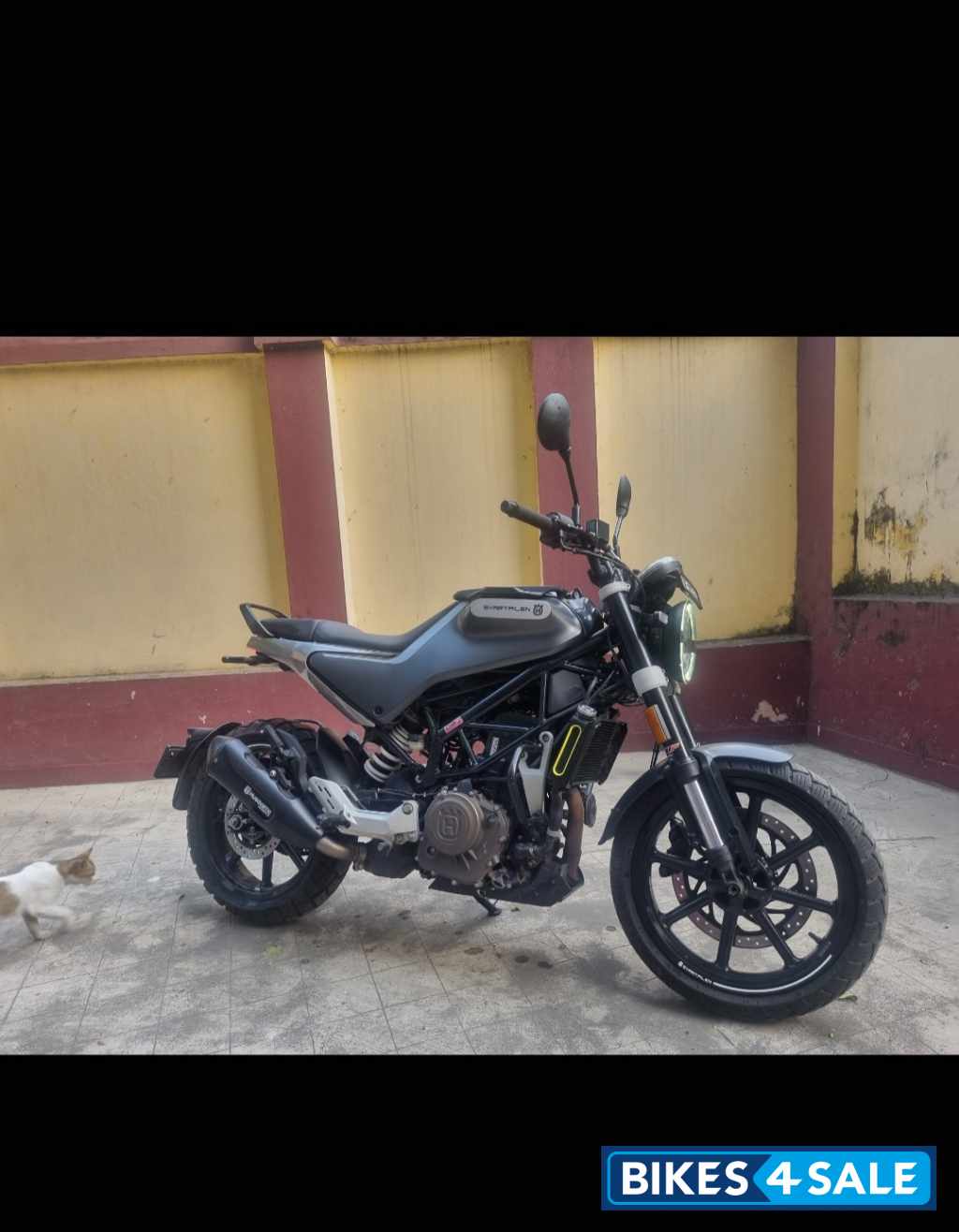 Matt Black Husqvarna Svartpilen 250