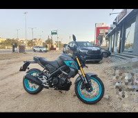 Cyan Blue/pastal Dark Grey Yamaha MT-15 Ver 2.0