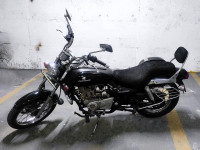 Bajaj Avenger 220 DTS-i