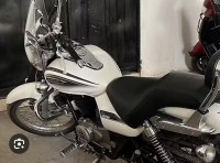 White Bajaj Avenger Cruise 220 BS6