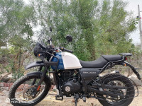 White Blue Royal Enfield Himalayan