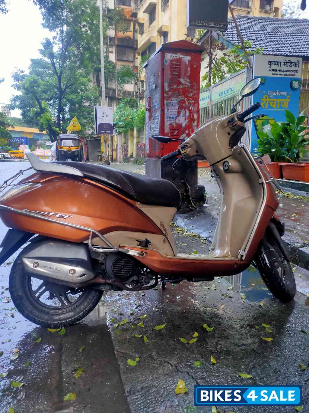 Gloss Brown TVS Jupiter