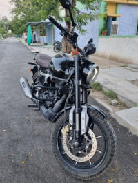 Black Shine TVS Ronin SS