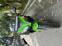 Candy Lime Green Kawasaki Ninja 300 BS6 2023