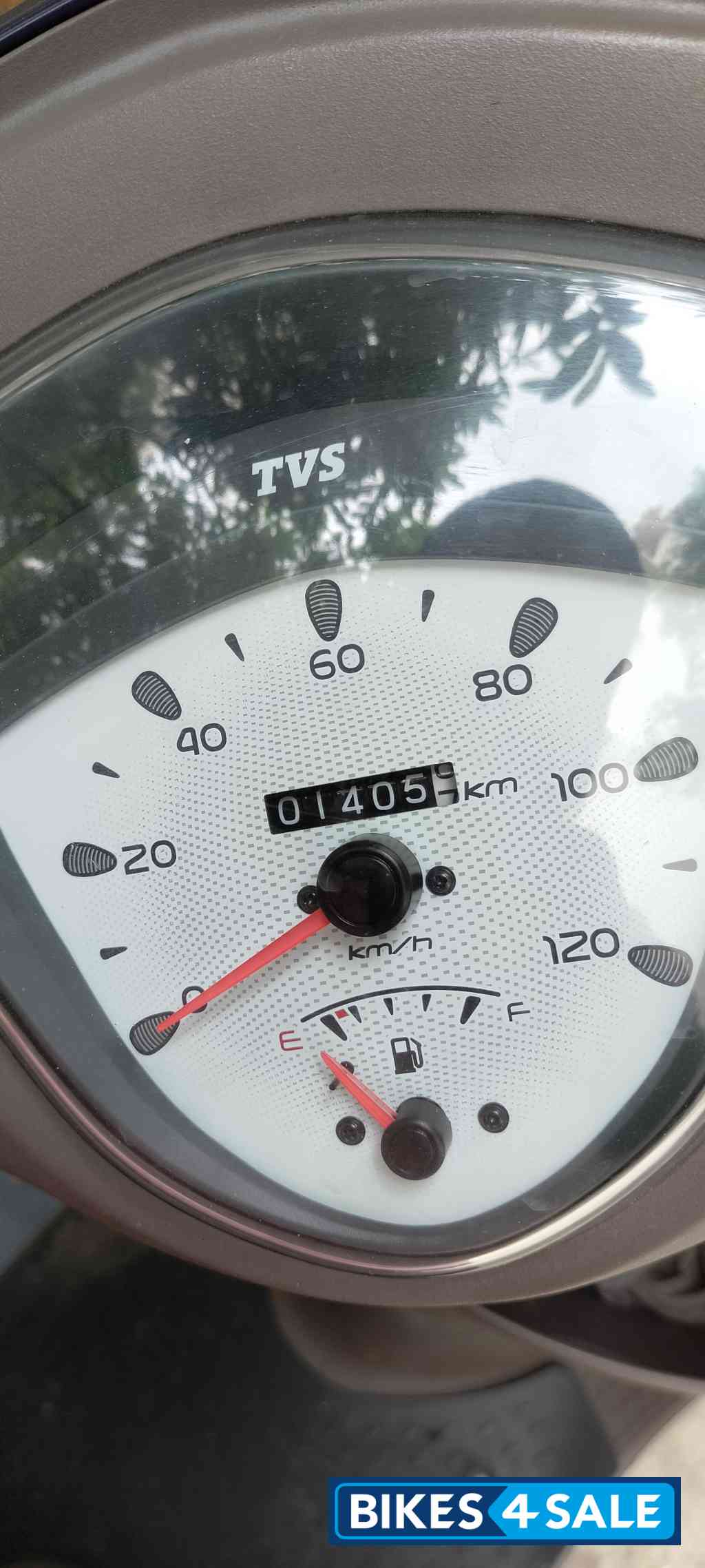 Purple TVS Scooty Zest 110 BS6