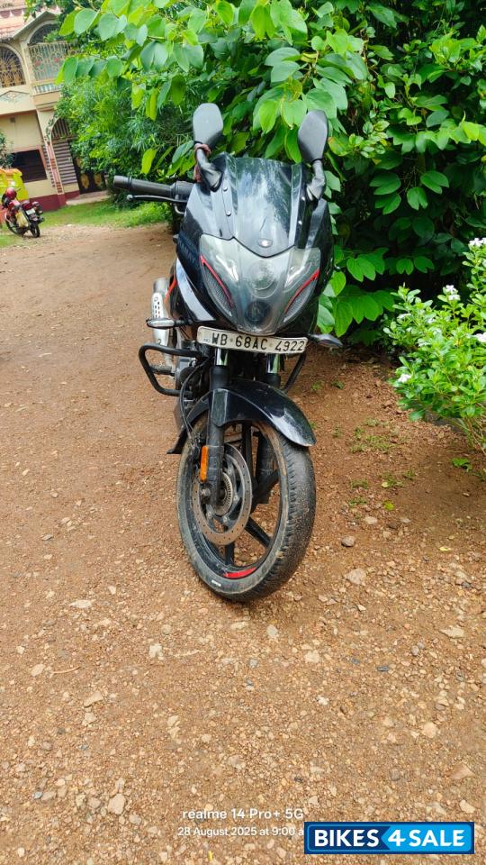 Ebony Black Red Dkl Bajaj Pulsar 180F Neon