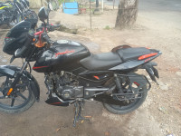 Black Or Orange Bajaj Pulsar 125 Split Seat