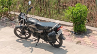 Honda Shine 100 2024 Model