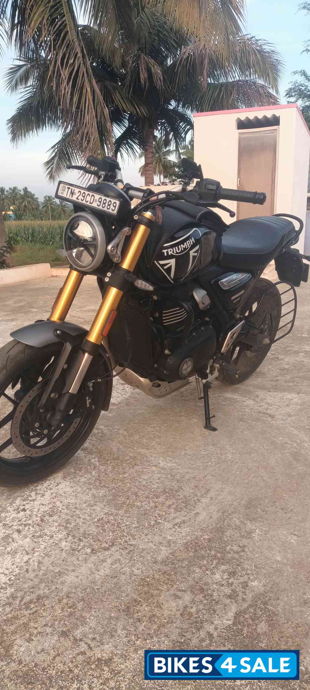 Black Triumph Speed 400