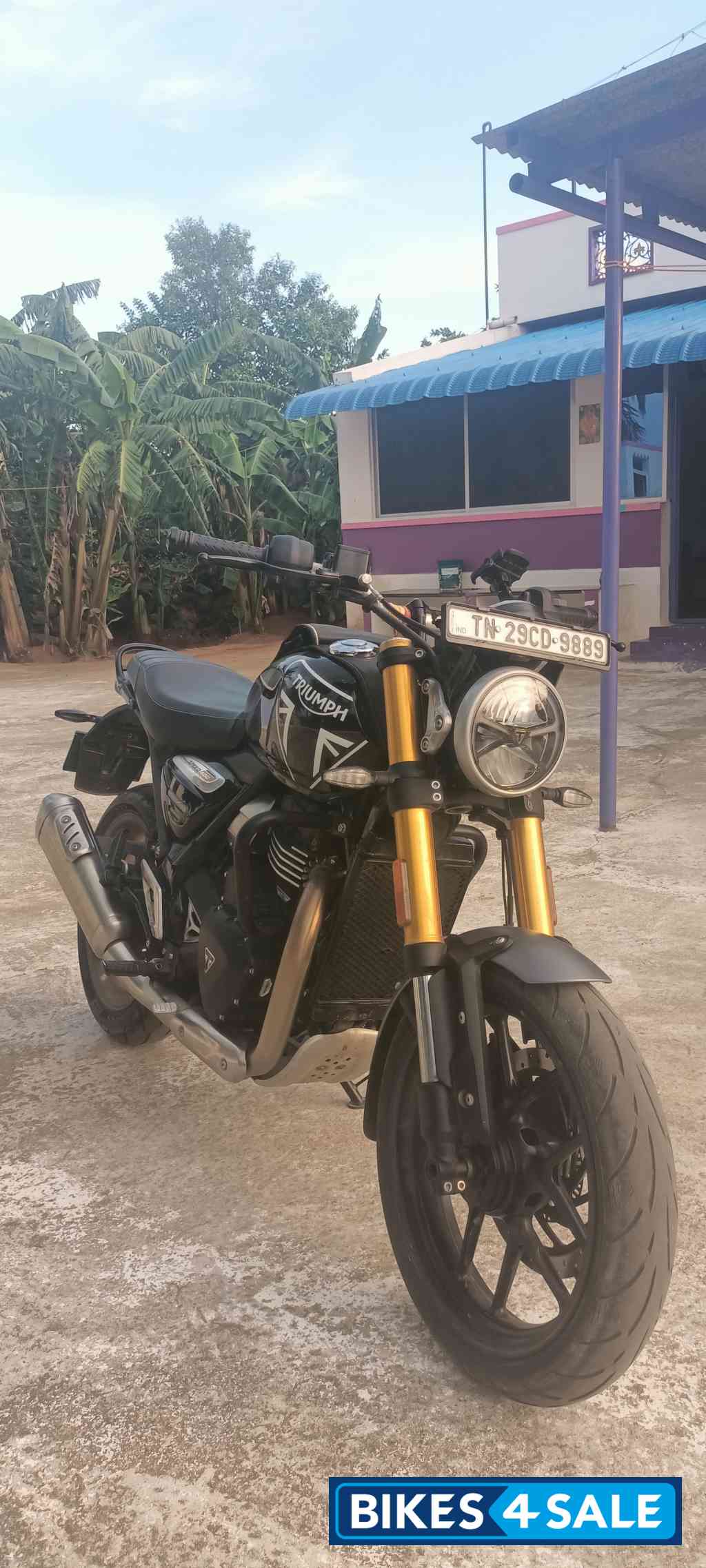 Black Triumph Speed 400