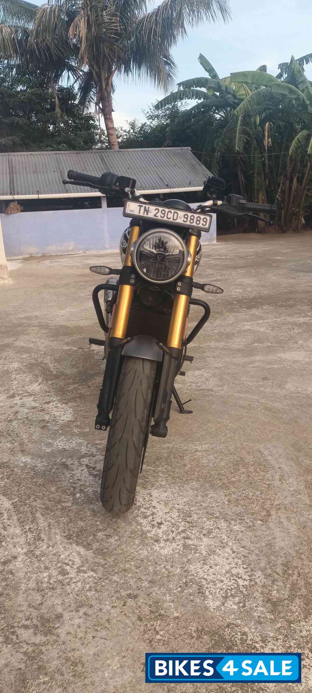 Black Triumph Speed 400