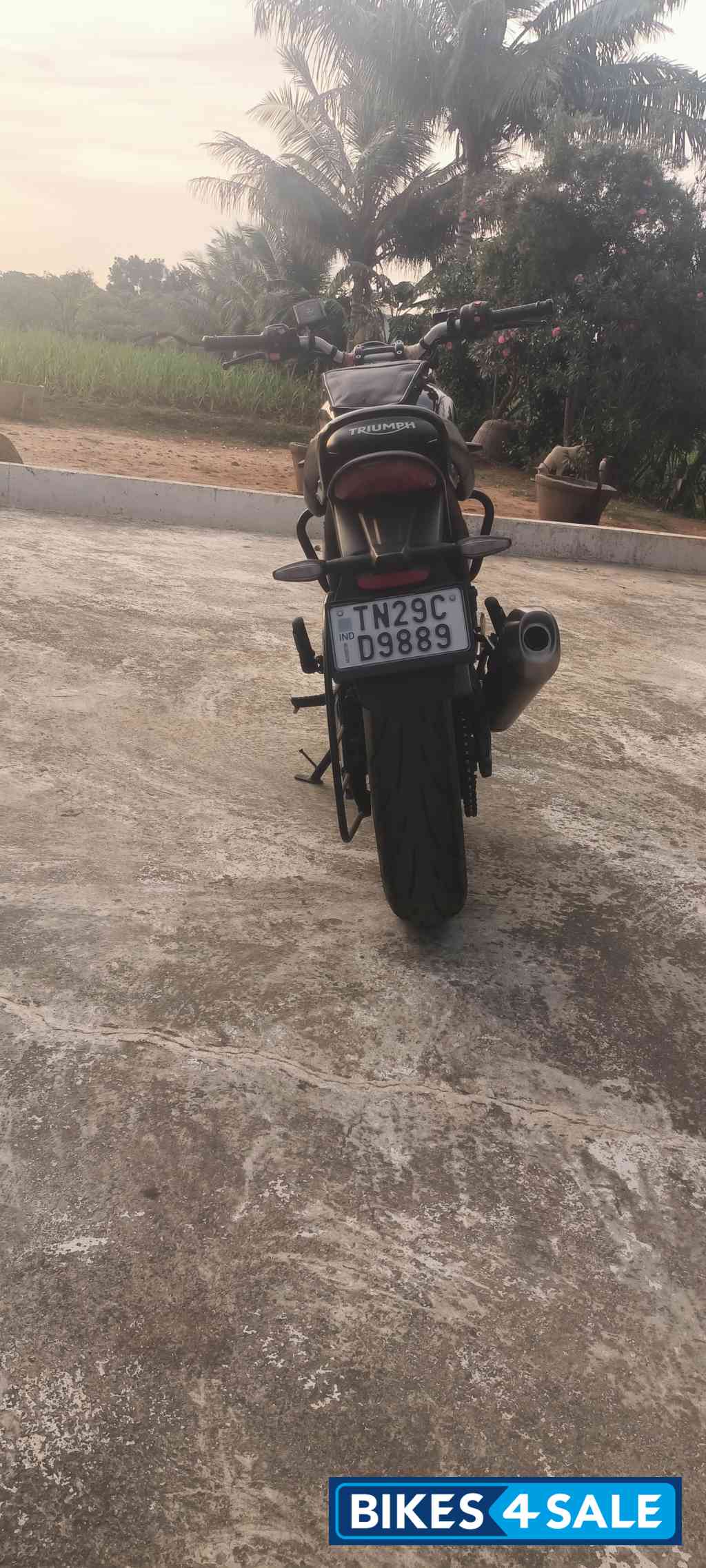 Black Triumph Speed 400