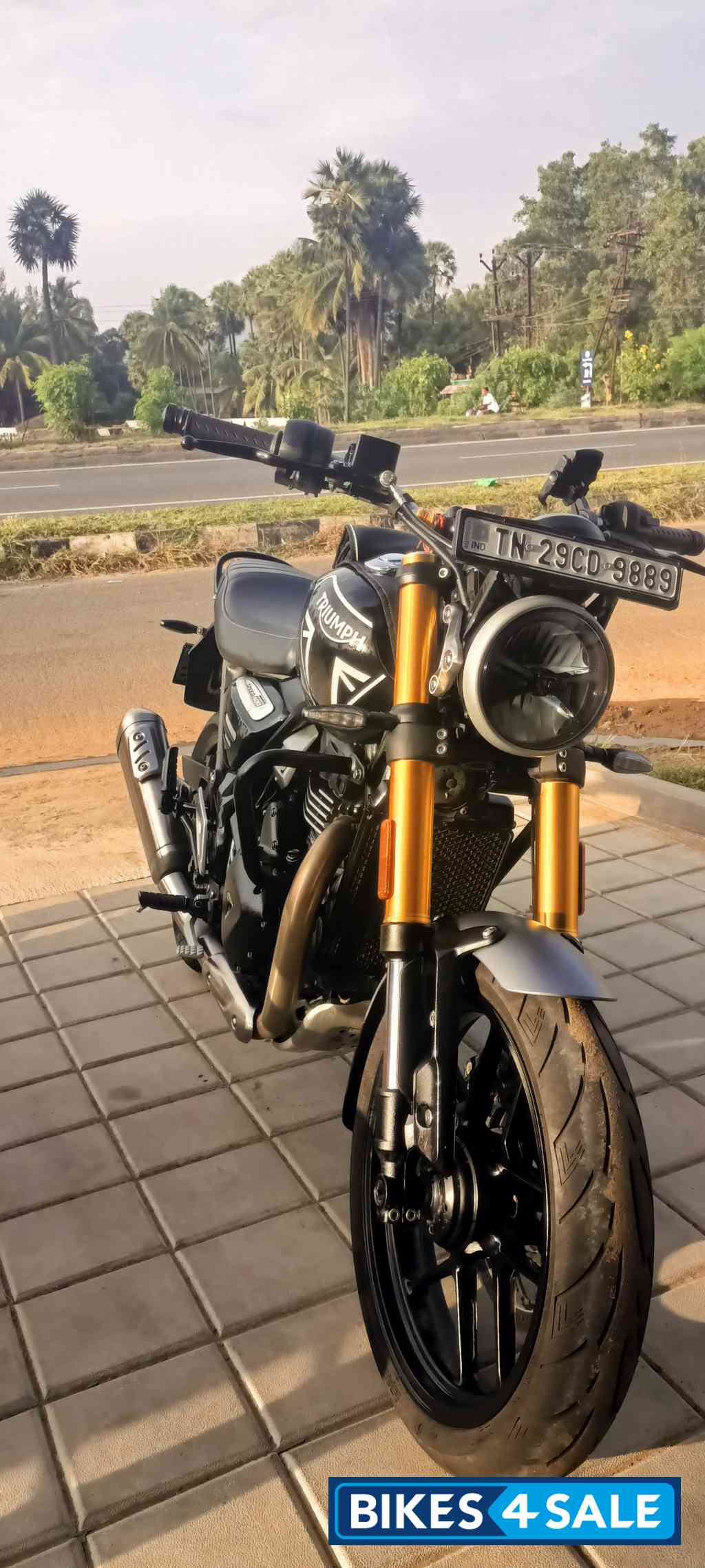 Black Triumph Speed 400