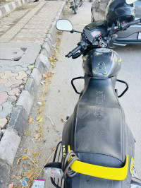 Black Decal Green Bajaj Pulsar 150 DTSi