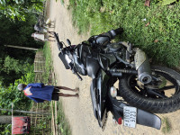 Bajaj Pulsar 150 Twin Disc