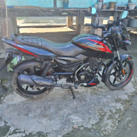 Bajaj Pulsar 150 DTSi 2023 Model