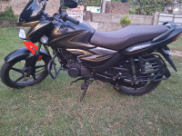 Honda Shine Celebration Edition