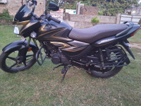 Honda Shine Celebration Edition