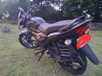 Honda Shine Celebration Edition