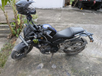 Moto Gp Edition Yamaha MT-15 MotoGP Edition