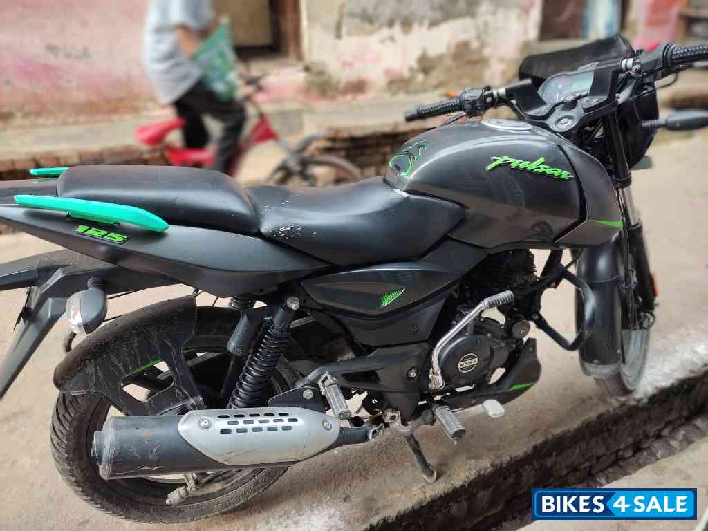 Tree Frog Bajaj Pulsar 125