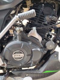 Tree Frog Bajaj Pulsar 125