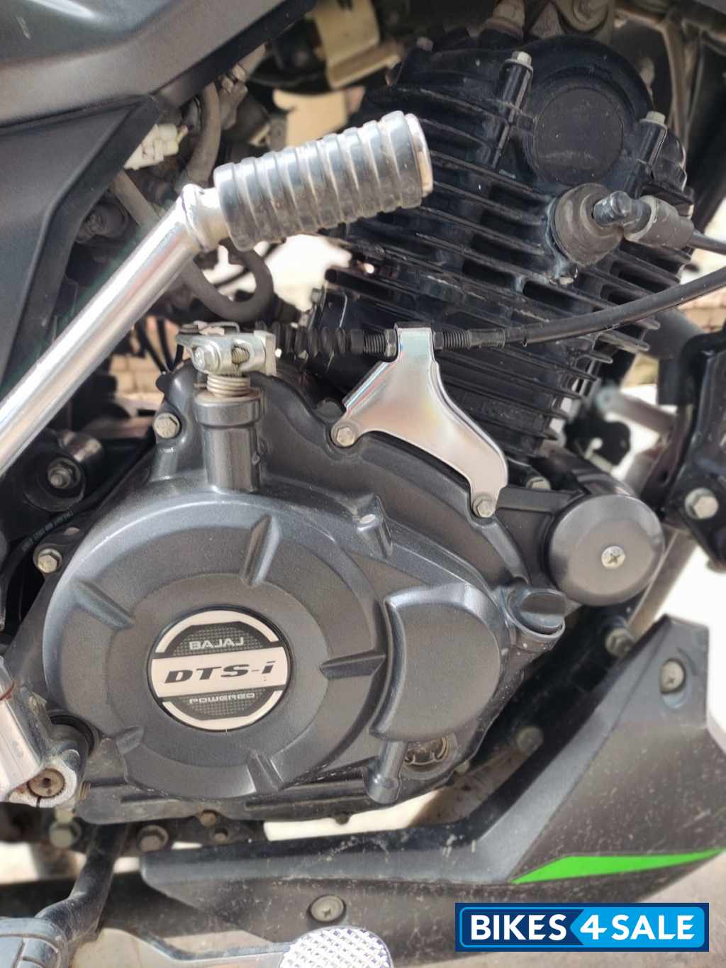 Tree Frog Bajaj Pulsar 125