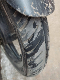 Tree Frog Bajaj Pulsar 125