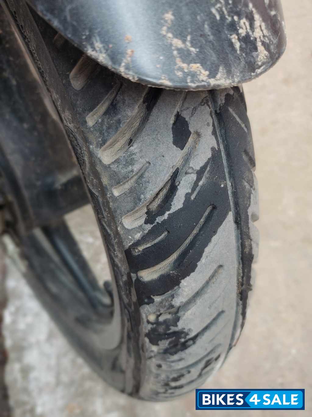 Tree Frog Bajaj Pulsar 125