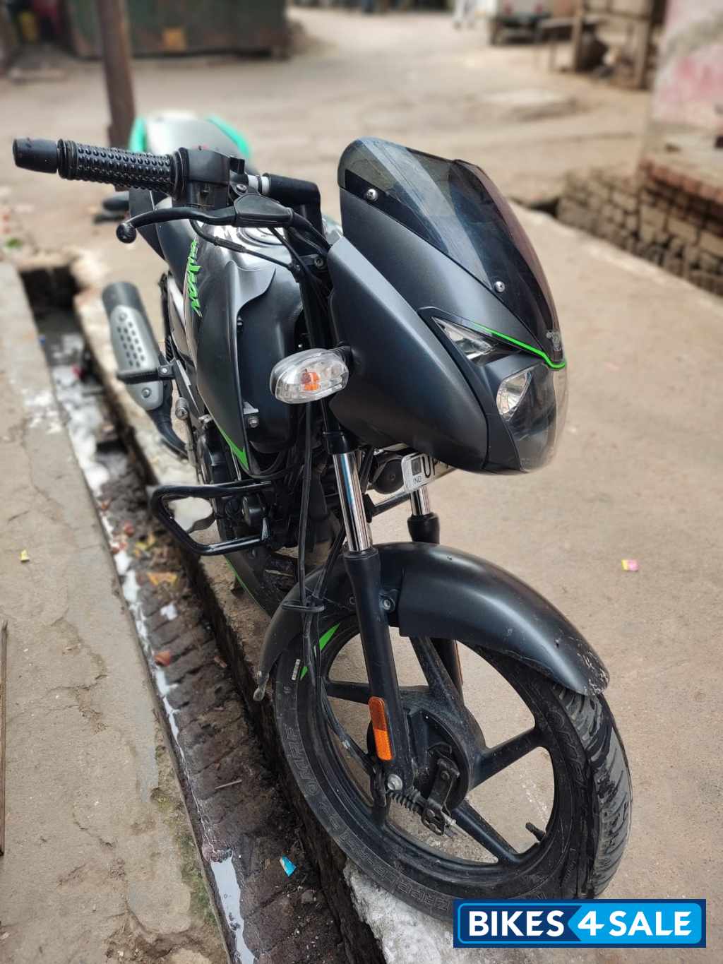 Tree Frog Bajaj Pulsar 125