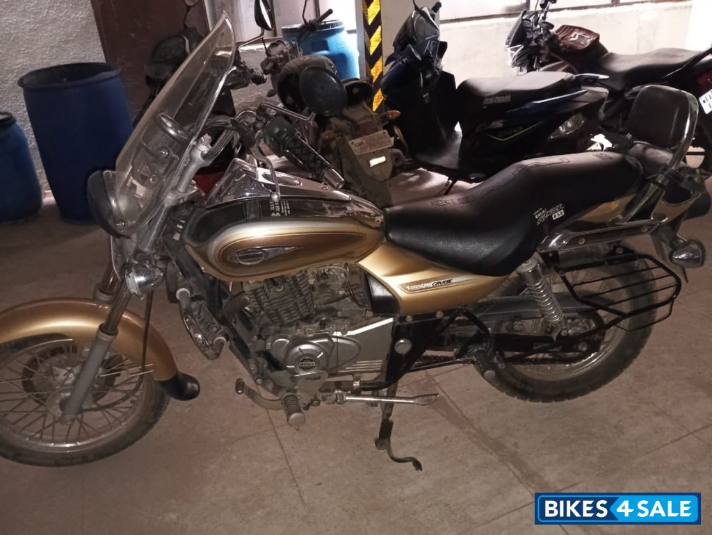Golden Bajaj Avenger Cruise 220