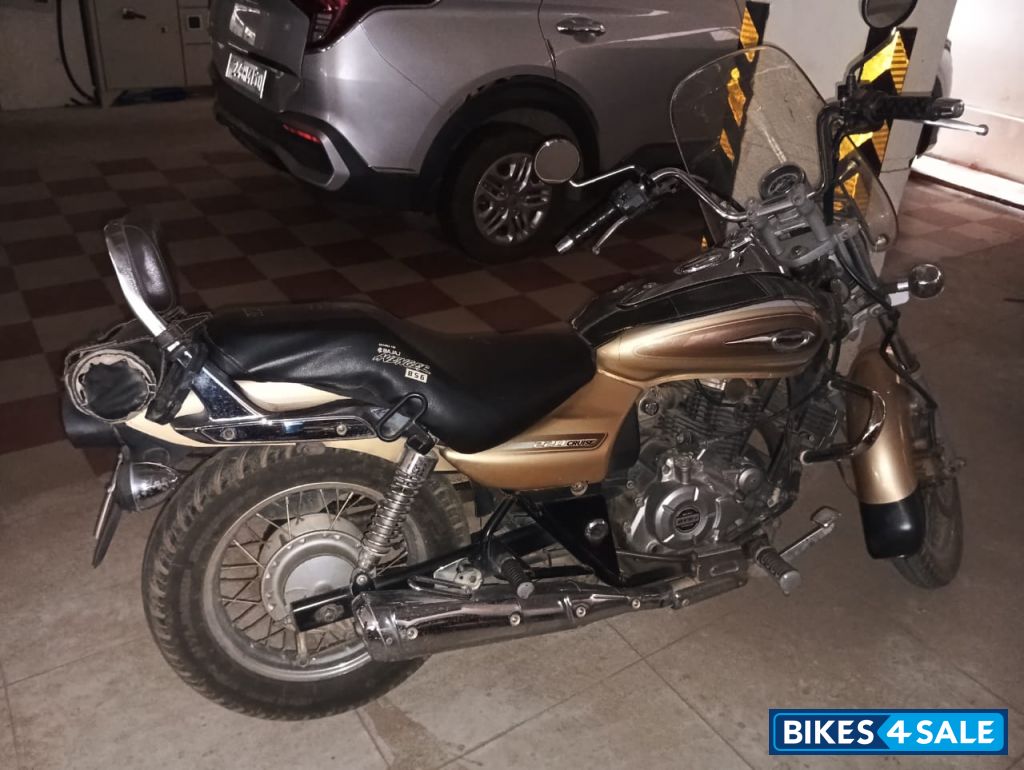 Golden Bajaj Avenger Cruise 220
