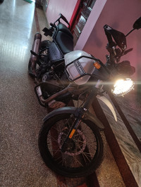 Snow White Royal Enfield Himalayan Sleet