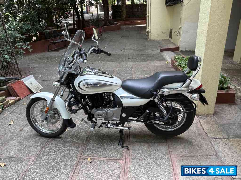 Pearl White Bajaj Avenger Cruise 220 BS6