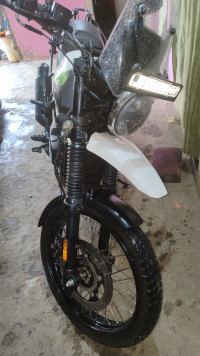 White Yezdi Adventure Gloss 2024