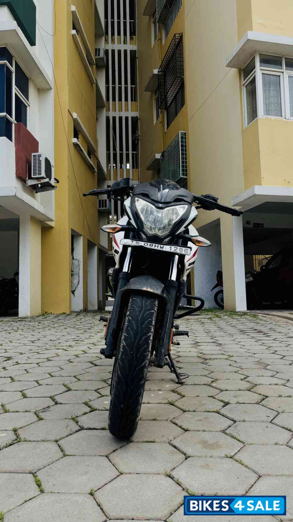 White Bajaj Pulsar NS 200 BS6