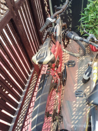 Bicycle Hercules 2017 Model