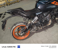 KTM Duke 250 2024