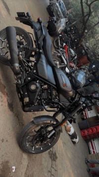 Harley Davidson X 440 2023 Model