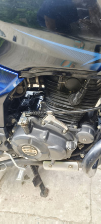 Ebony Black Blue Dkl Bajaj Pulsar 150 Twin Disc