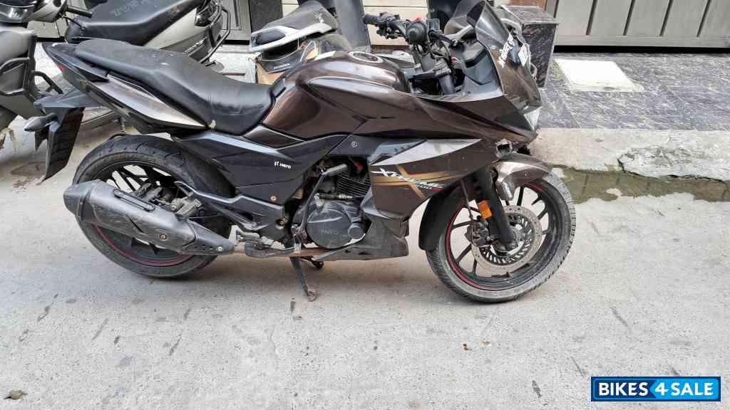 Dark Brown Hero Xtreme 200S