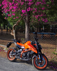 KTM Duke 390 2024