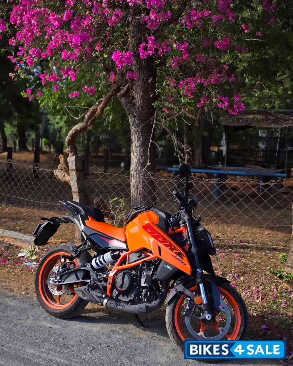 KTM Duke 390 2024